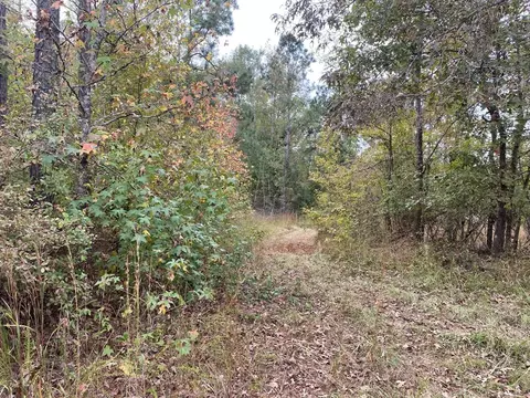 -- Hwy 552, Pattison, MS 39144 photo 11