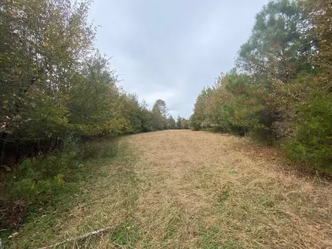 -- Hwy 552, Pattison, MS 39144 photo 13