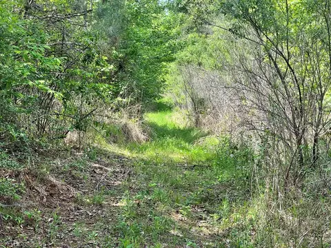 -- Hwy 552, Pattison, MS 39144 photo 4