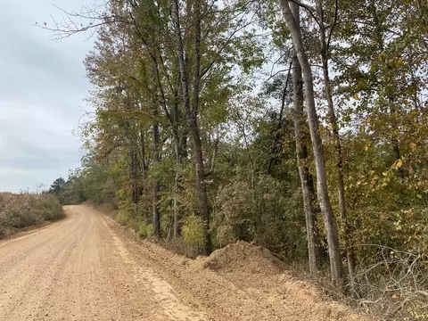 -- Hwy 552, Pattison, MS 39144 photo 10