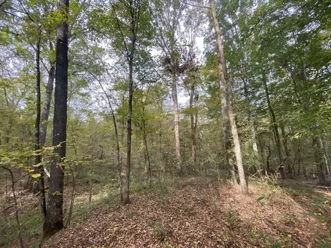 -- Hwy 552, Pattison, MS 39144 photo 23