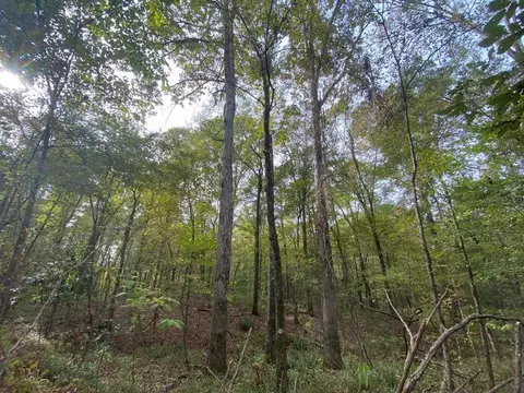 -- Hwy 552, Pattison, MS 39144 photo 28