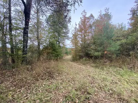 -- Hwy 552, Pattison, MS 39144 photo 12