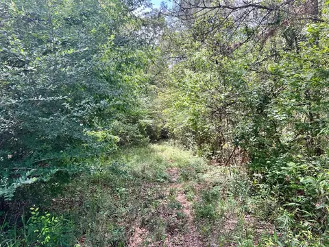 -- Hwy 552, Pattison, MS 39144 photo 2
