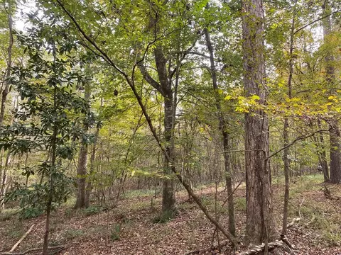 -- Hwy 552, Pattison, MS 39144