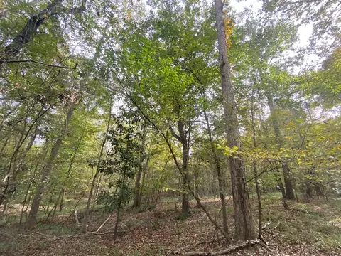 -- Hwy 552, Pattison, MS 39144 photo 27