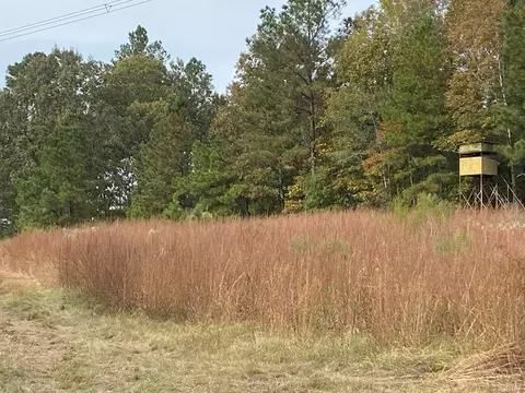 -- Hwy 552, Pattison, MS 39144 photo 17