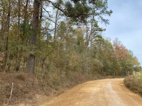 -- Hwy 552, Pattison, MS 39144 photo 29