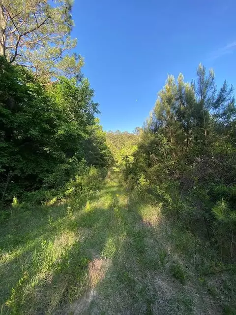 0 Chisholm Dr SW, Summit, MS 39666