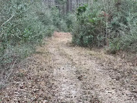 1069 Pine Grv, MS photo 30