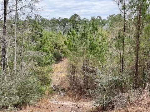 1069 Pine Grv, MS photo 27