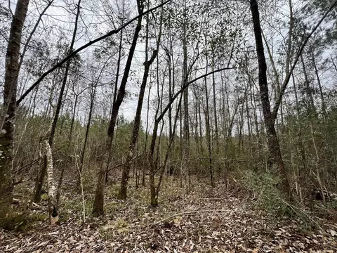 1069 Pine Grv, MS photo 36