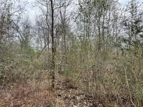1069 Pine Grv, MS photo 33