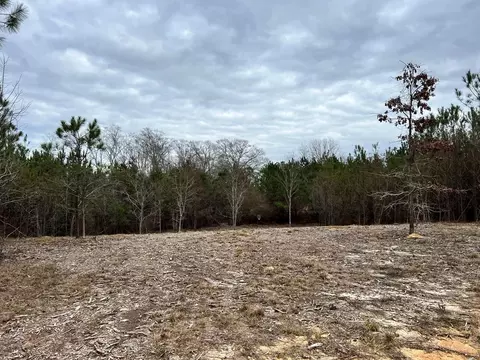 1069 Pine Grv, MS photo 18