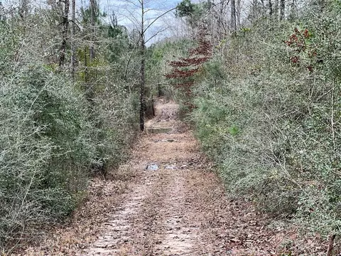 1069 Pine Grv, MS photo 31