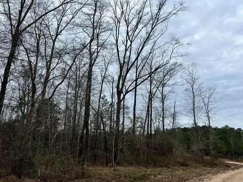 1069 Pine Grv, MS photo 44