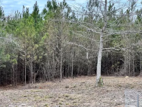 1069 Pine Grv, MS photo 17