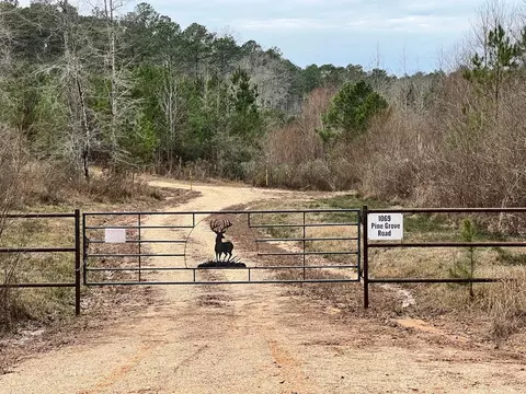 1069 Pine Grv, MS photo 8