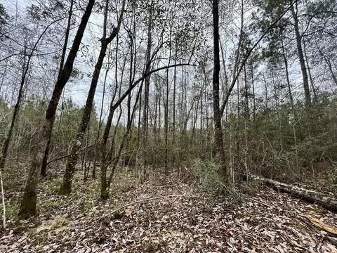 1069 Pine Grv, MS photo 37