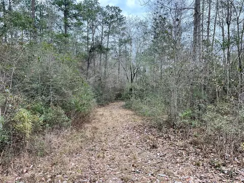 1069 Pine Grv, MS photo 34