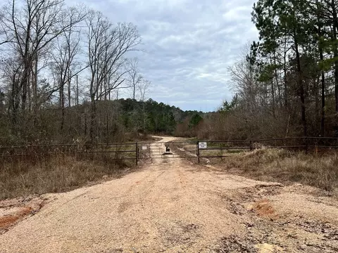 1069 Pine Grv, MS photo 12