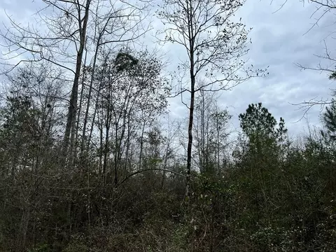 1069 Pine Grv, MS photo 35
