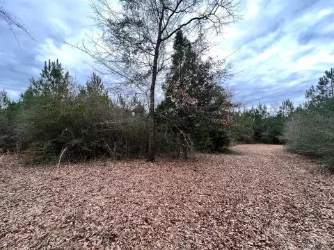 1069 Pine Grv, MS photo 42