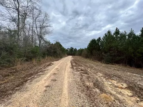 1069 Pine Grv, MS photo 9