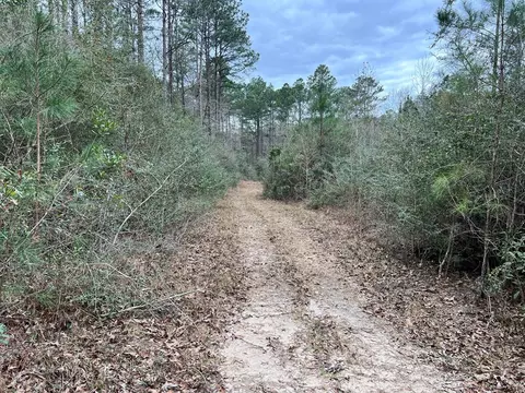 1069 Pine Grv, MS photo 29