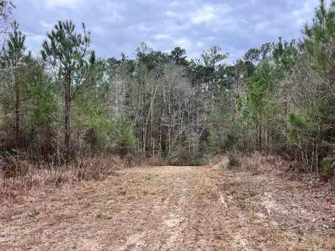 1069 Pine Grv, MS photo 19