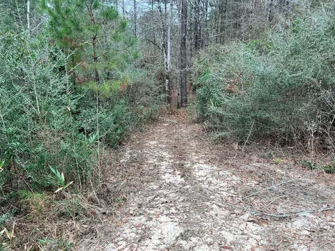 1069 Pine Grv, MS photo 24