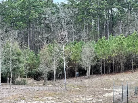1069 Pine Grv, MS photo 15