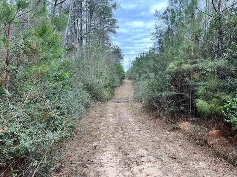 1069 Pine Grv, MS photo 25