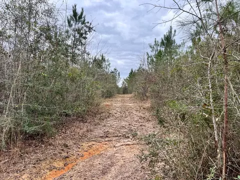 1069 Pine Grv, MS photo 39