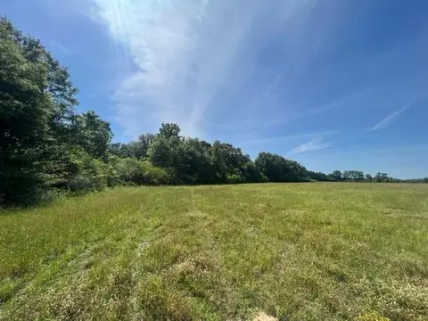 000 Chemin Bill Simmons Rd, Tylertown, MS 39667