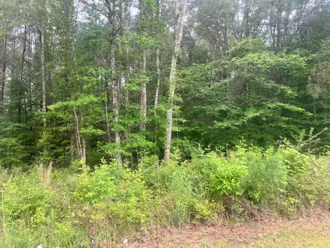 X Lin Frank Line Drive Sw, Smithdale, MS 39664