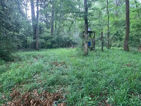 tbd Pike 93 N, Mccomb, MS 39648 photo 4