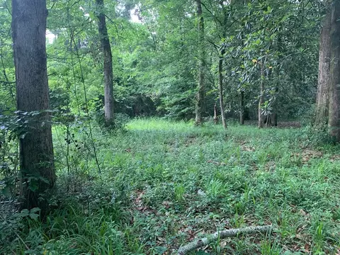 tbd Pike 93 N, Mccomb, MS 39648 photo 2