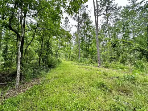 tbd Union Church Rd, Union Church, MS 39668