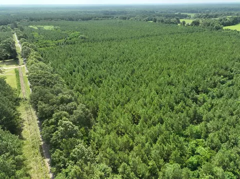 0 Military Rd, Sandy Hook, MS 39478 photo 27