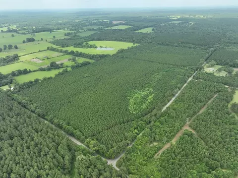 0 Military Rd, Sandy Hook, MS 39478 photo 2
