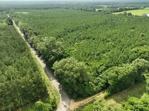 0 Military Rd, Sandy Hook, MS 39478 photo 31