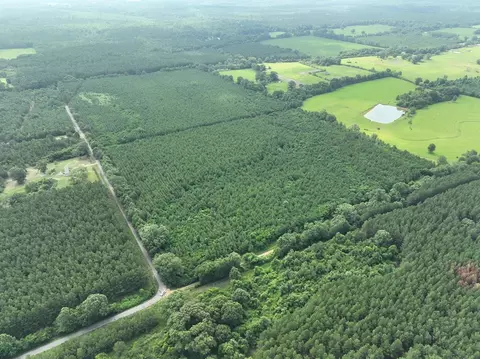 0 Military Rd, Sandy Hook, MS 39478 photo 9