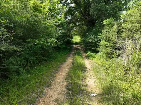 0 Military Rd, Sandy Hook, MS 39478 photo 16