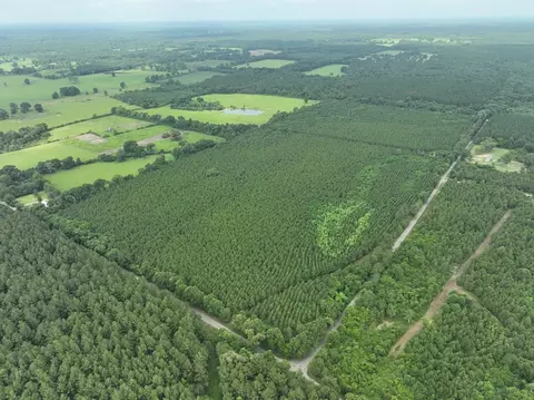 0 Military Rd, Sandy Hook, MS 39478 photo 3