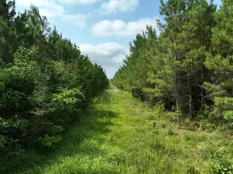 0 Military Rd, Sandy Hook, MS 39478 photo 19