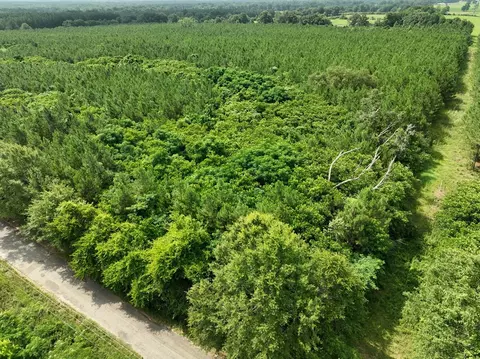 0 Military Rd, Sandy Hook, MS 39478 photo 22