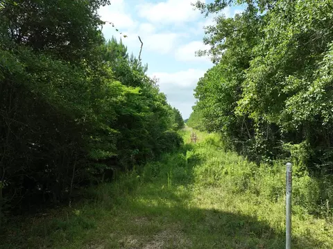 0 Military Rd, Sandy Hook, MS 39478 photo 17