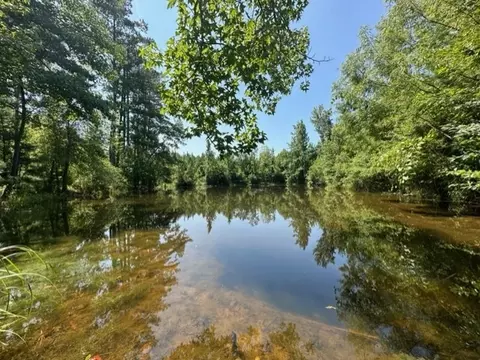 tbd Deer Camp Rd, Braxton, MS 39044 photo 9