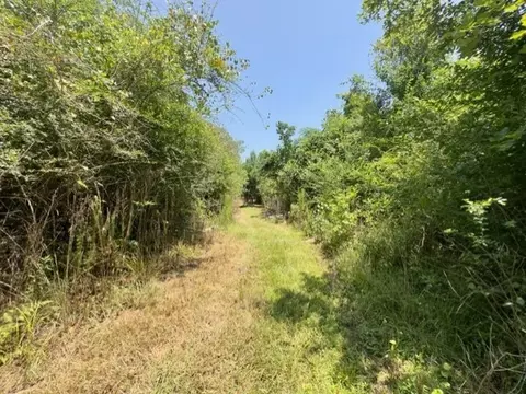 tbd Deer Camp Rd, Braxton, MS 39044 photo 13